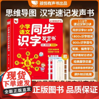 孩悦时光有声书汉字速记思维导图形象识字幼小衔接同步小学一年级语文认字识字大王1儿童启蒙早教书3岁宝宝益智认知会说话的有声