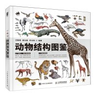 [N]动物结构图鉴(精)-9787115631909