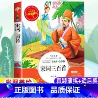 [正版]宋词三百首全解插图版全集小学生青少年三四五六年级必读原文译注带翻译读后感课外书彩图美绘版鉴赏析张琪编著山东美术