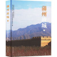 [正版]蒲州故城 蒲州故城遗址首部阶段性考古报告 博物院出版 纸上