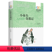 小布头奇遇记 [正版] 寄小读者 冰心系列儿童文学百年百部书系10-12岁四五六年级小学生课外阅读书籍 再寄三寄小读者