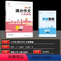 语文 小学通用 [正版]2024版通城学典小升初满分作文分类精编专项五六年级作文书大全小学4-6年级分类获奖作文精选素材