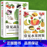 [正版]铜版纸2册常见水果图鉴+常见蔬菜图鉴水果选购指南 存储方法食材价值营养成分食材选购指南美食烹饪菜谱 食物营养搭