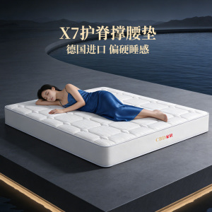 [CBD]SNZY-X7 22cm 德国进口ASW弹簧床垫