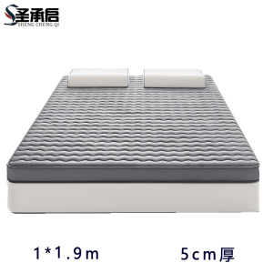 圣承启 防滑床垫 1*1.9m张