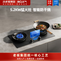 名气MQ燃气灶双眼灶5.2kW大火力钢化玻璃面板台嵌两用设计双边可定时A669B-H2P