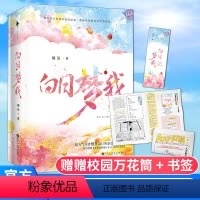 [正版]白日梦我小说 全2册栖见 赠校园万花筒+精美书签 玫瑰挞晋江文学城校园青春言情小说 桀骜校霸vs外刚内柔的颓废少
