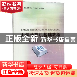 正版 大学计算机基础教程 高守平 北京大学出版社 9787301303139