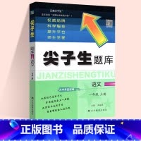 语文:人教版 四年级下 [正版]2024春尖子生题库二三年级四五年级六一年级上下册数学语文人教北师大西师版一课一练课堂同