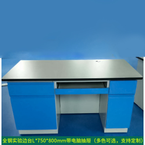 文灵全钢实验台钢木PP边台柜试验台化验室工作台实验室桌操作台定制(每米单价)[工厂现做 7天内发货]