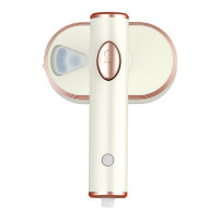 春花 CTQ-509Y 家用平烫挂烫二合一手持 电熨斗