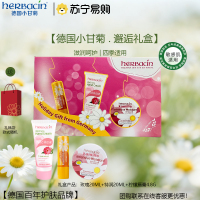 贺本清小甘菊邂逅花香礼盒