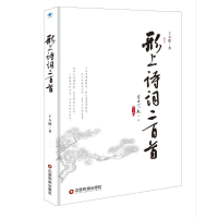 音像形上诗词二百首王天德
