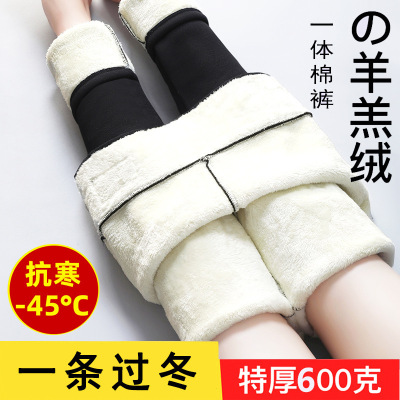 丹露莎特厚羊羔绒打底裤女秋冬一体裤加绒加厚外穿大码胖MM东北保暖棉裤