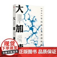 大加速 1945年以来人类世的环境史(见识丛书49)约翰 R 麦克尼尔 著 社会科学 中信