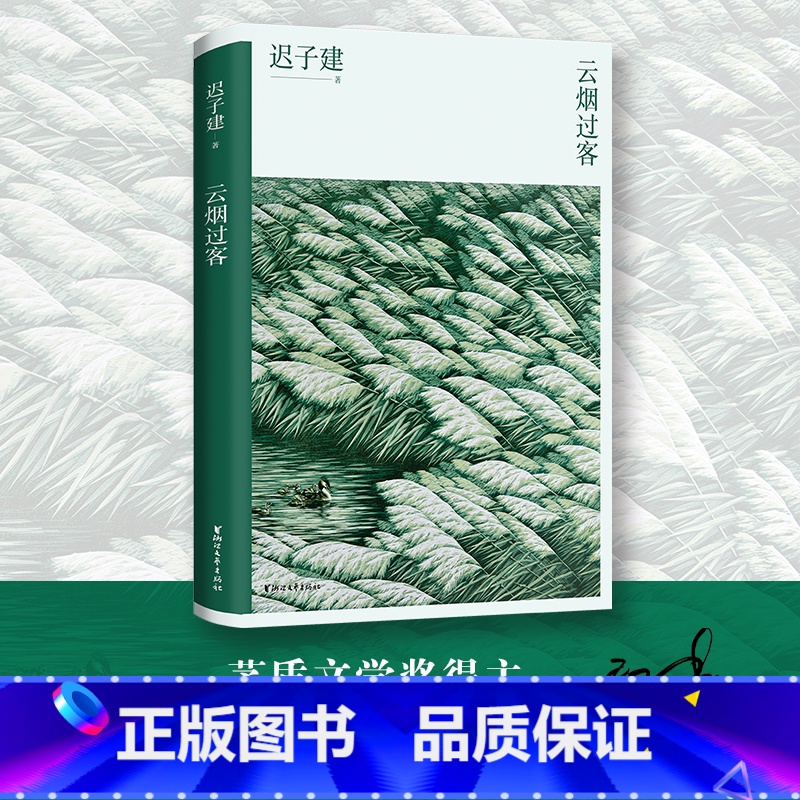 [正版]云烟过客 迟子建散文自选集 名家经典文学作品选集 中国近代随笔 迟子建散文集 以人物为写作核心 新视角图书