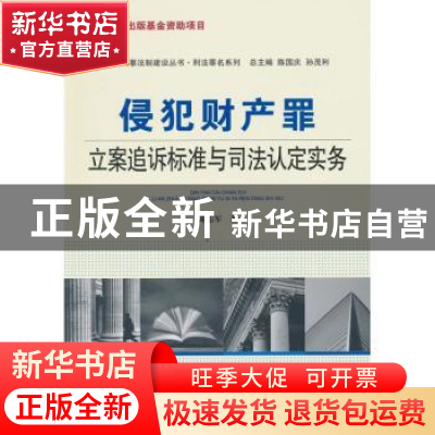 正版 侵犯财产罪立案追诉标准与司法认定实务 陈志军 中国人民