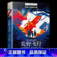 荒野飞行 [正版]长青藤国际大奖小说书系 第十一辑 3册 没完没了的生日+荒野飞行+穿越魔雾 6-12岁儿童文学书籍中小