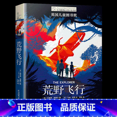 荒野飞行 [正版]长青藤国际大奖小说书系 第十一辑 3册 没完没了的生日+荒野飞行+穿越魔雾 6-12岁儿童文学书籍中小