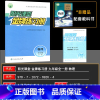 物理 九年级/初中三年级 [正版]2024秋 阳光课堂金牌练习册 物理 九年级全一册人教版 内含测试卷及答案 9年