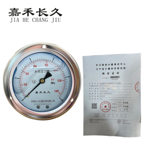 嘉禾长久 耐震压力表轴向带边(带辽宁省级检定证书)YTN100ZT 块