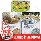 温州课程园本化实施方案 小中大班 特色主题案例课程建构活动融入文化课程自主游戏板块实效学习活动板块地域化自主游戏放手游戏