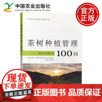正版 茶树种植管理100问 韩文炎 李鑫 名家问茶系列丛书 中国农业出版社