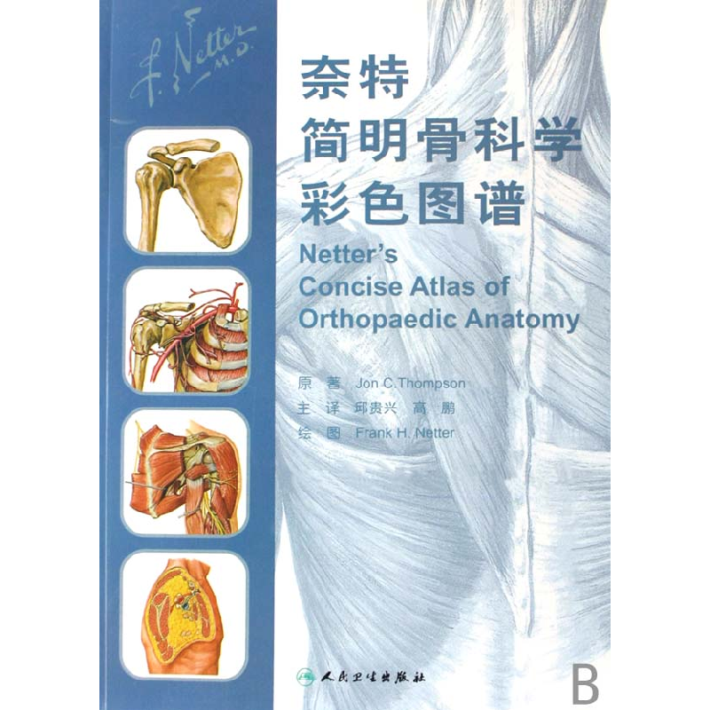 音像奈特简明骨科学彩色图谱Jon C.Thompson|译者:邱贵兴//高鹏