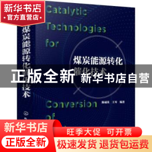 正版 煤炭能源转化催化技术 陈诵英,王琴 化学工业出版社 9787122