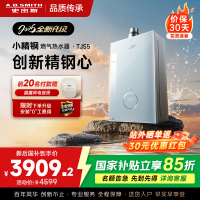 史密斯佳尼特[小精钢TJS5]16升增压零冷水燃气热水器 国家补贴 JSQ31-TJS5 安全守护 持久恒温 新品