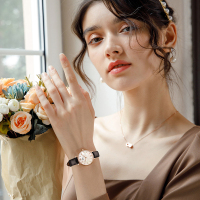 瑞士品牌爱沃驰I&W CARNIVAL石英表 女表简约气质手表轻奢时尚女士纤薄真皮带小圆表防水简约3009