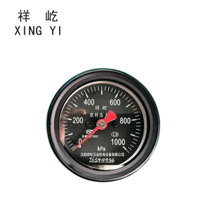 祥屹 双针压力表 YTS80Z 块