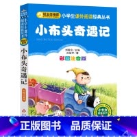 小布头奇遇记 [正版]彩图注音版小布头奇遇记注音版一二三年级上下册童话文学老师图书本小学生课外阅读书籍少儿读物儿童故事书