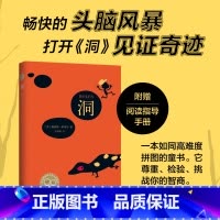 洞 [正版]洞书 路易斯萨奇尔著儿童文学纽伯瑞金奖大奖小说 图书奖路易斯萨奇尔小学生四五六年级阅读书 课外书 8-12岁