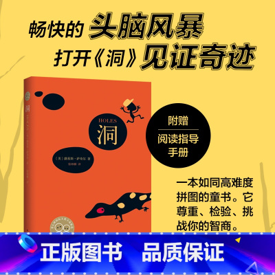 洞 [正版]洞书 路易斯萨奇尔著儿童文学纽伯瑞金奖大奖小说 图书奖路易斯萨奇尔小学生四五六年级阅读书 课外书 8-12岁