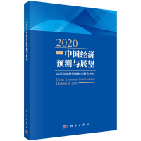 音像2020中国经济预测与展望预测科学研究中心