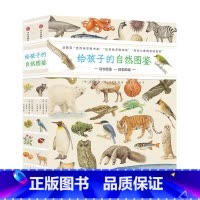 给孩子的自然图鉴(套装2册) [正版]给孩子的自然图鉴 沈兆媛著 动植物生命形态科学认知自然手绘感受力伴侣书 锻炼孩子认