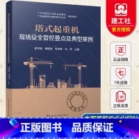 塔式起重机现场安全管控要点及典型案例 [正版] 塔式起重机现场安全管控要点及典型案例 麦学强 周朝波 毛卓奇 刘 萍 主