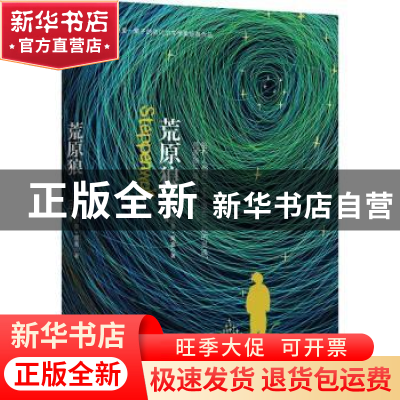 正版 荒原狼 (德)赫尔曼·黑塞著 天津人民出版社 9787201135540