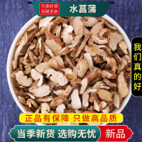 甄选水菖蒲100克正品煮水泡茶菖蒲大叶菖蒲泥菖蒲无硫9260