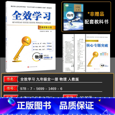 物理 九年级/初中三年级 [正版]2025版全效学习学业评价方案九年级上册物理人教版全一册同步练习册学练考一体化附赠试卷