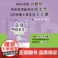 白话网络*2:网安战略篇 网络*黑客网络攻防计算机网络技术书籍