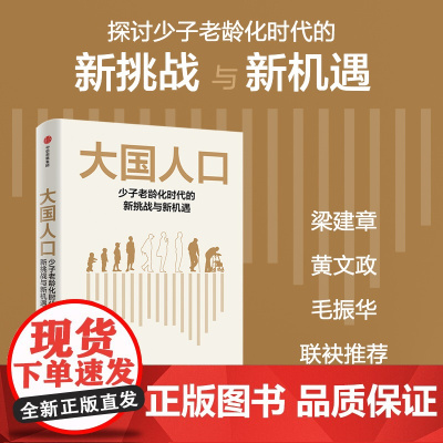 大国人口 少子老龄化时代的新挑战与新机遇 任泽平等 著 挖掘人口结构变局新福利 抓住未来社会新机遇 经济