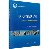 音像碳化硅微纳纤维王兵,吴楠,王应德