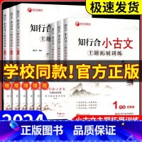 知行合阅读 主题拓展训练 四年级下 [正版]2024秋 知行合小古文主题拓展训练一二三四五六年级上册下册人教版小学生古诗
