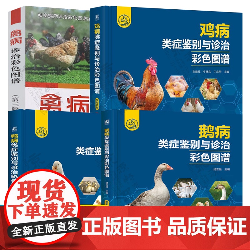 鸡/鸭/鹅病类症鉴别与诊治彩色图谱 禽病诊治彩色图谱 家禽养殖技术 鸡鸭鹅病诊断与防治彩色图鉴 养鸡鸭鹅技术大全书籍