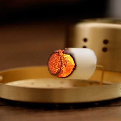 百年扁氏三年珍品蕲艾柱(54粒/盒)无烟家用三年陈艾随身艾灸盒专用短柱绒熏金艾条短粗三年珍品蕲艾柱铜灸盒