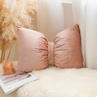 天山柔轻奢风蝴蝶结抱枕靠垫