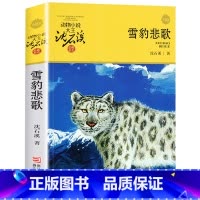 雪豹悲歌 [正版]完整版雪豹悲歌全本沈石溪的图书籍动物小说大王品藏系列小学生四五六年级儿童文学作品珍藏大全全集1全套单本