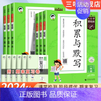 53基础练同步作文 四年级上 [正版]53小学基础练语文积累与默写一二年级三年级四年级五六年级上下册看拼音同步训练习看拼